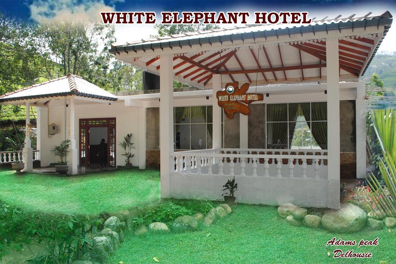 White Elephant Hotel Maskeliya المظهر الخارجي الصورة